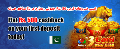 شاندار ویلکم بونس 💰 promotion banner